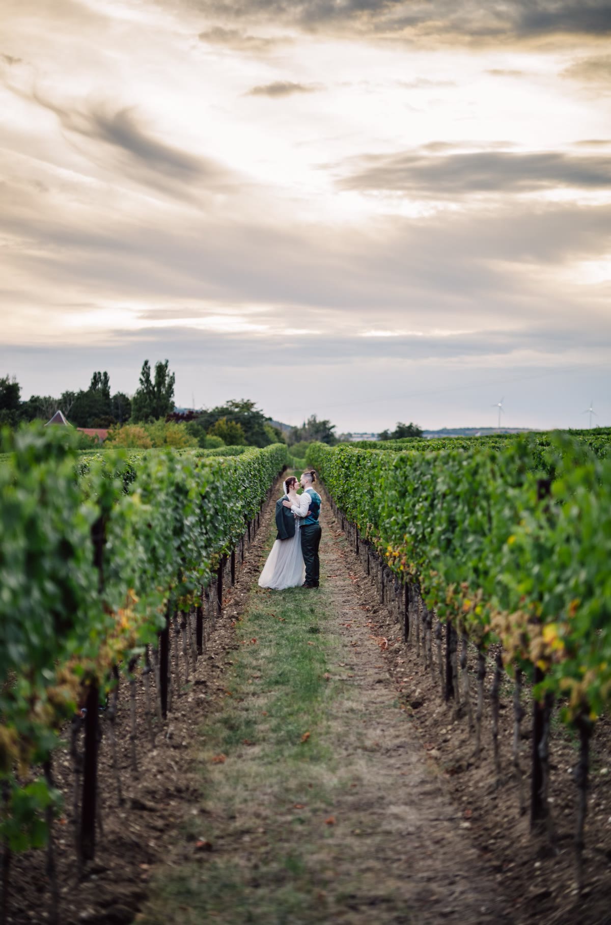 A wedding at Weingut Mussler, photograph 58
